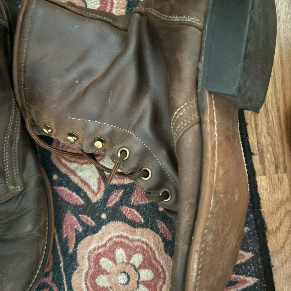 Lots Of Life And Leather